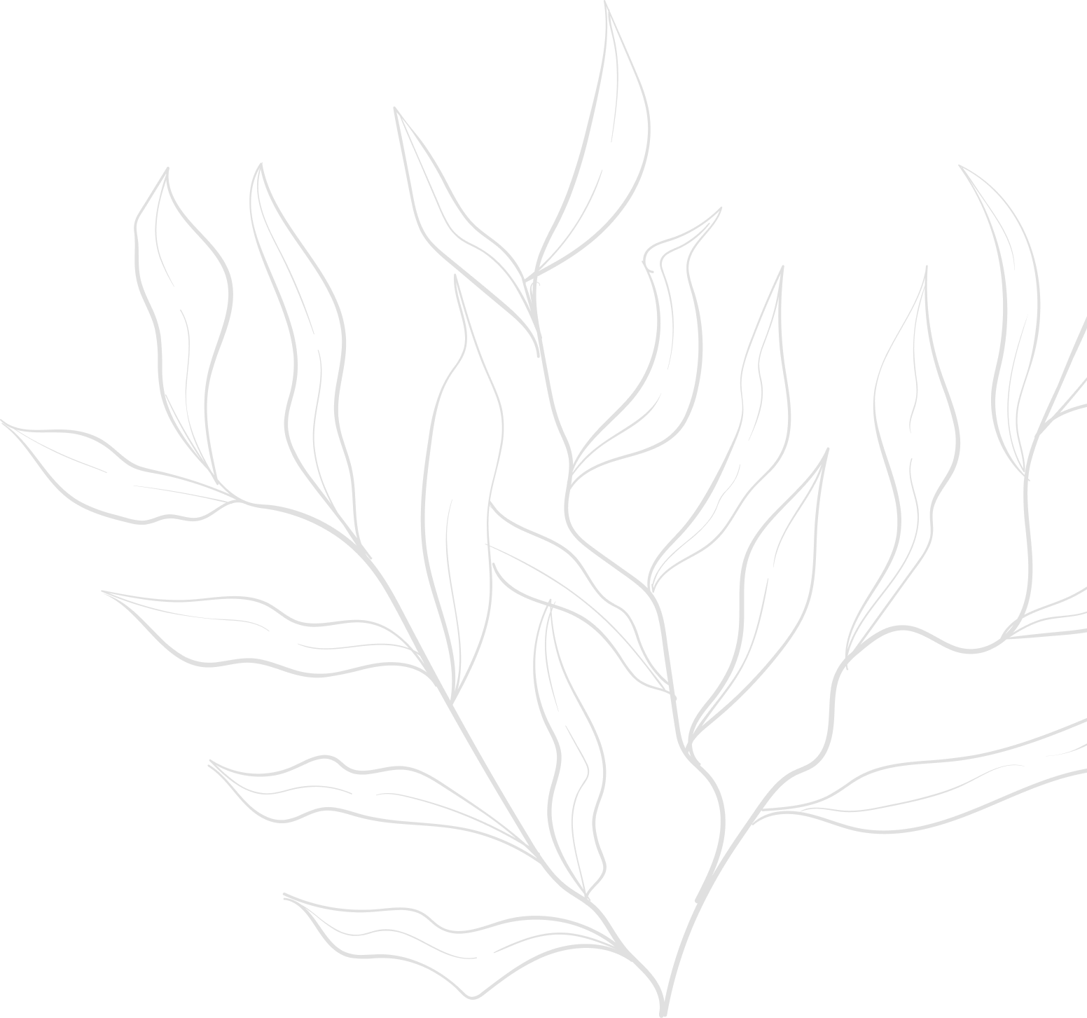 Decoration
